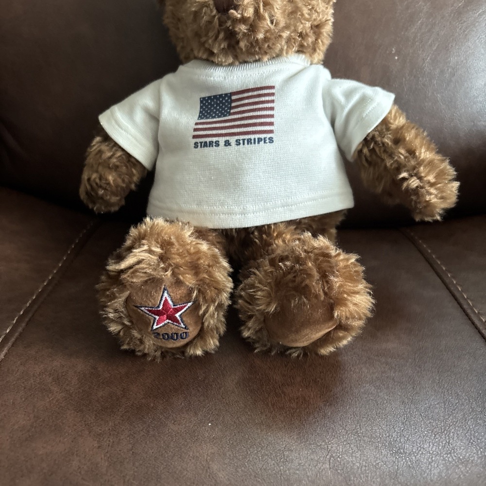 Vintage Gund 2000 15" American Stars & Stripes Hope Joy Love Peace Teddy Bear - Picture 4 of 6